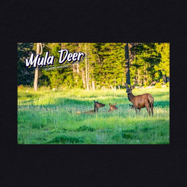 Mule Deer at Yellowstone by Gestalt Imagery